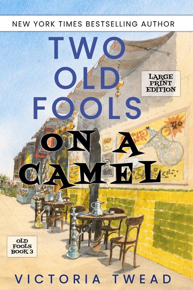 Two Old Fools on a Camel - LARGE PRINT