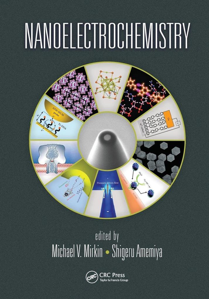 Nanoelectrochemistry