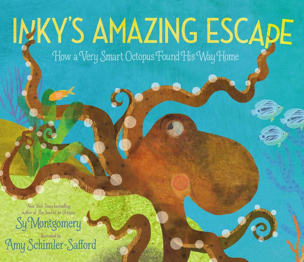 Inky‘s Amazing Escape