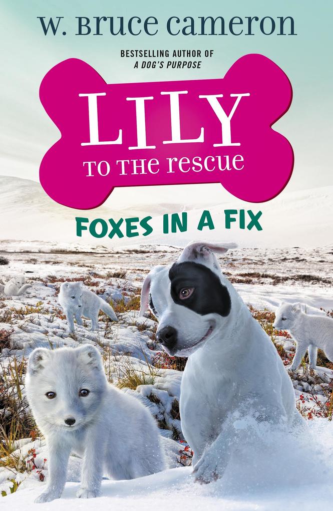 to the Rescue: Foxes in a Fix