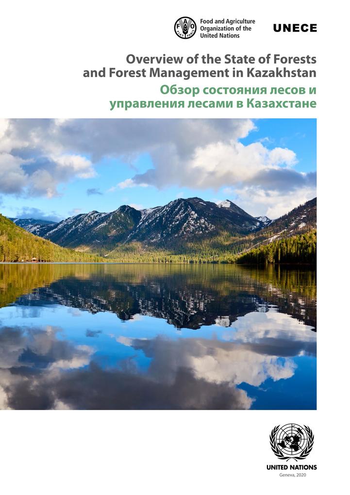 Overview of the State of Forests and Forest Management in Kazakhstan