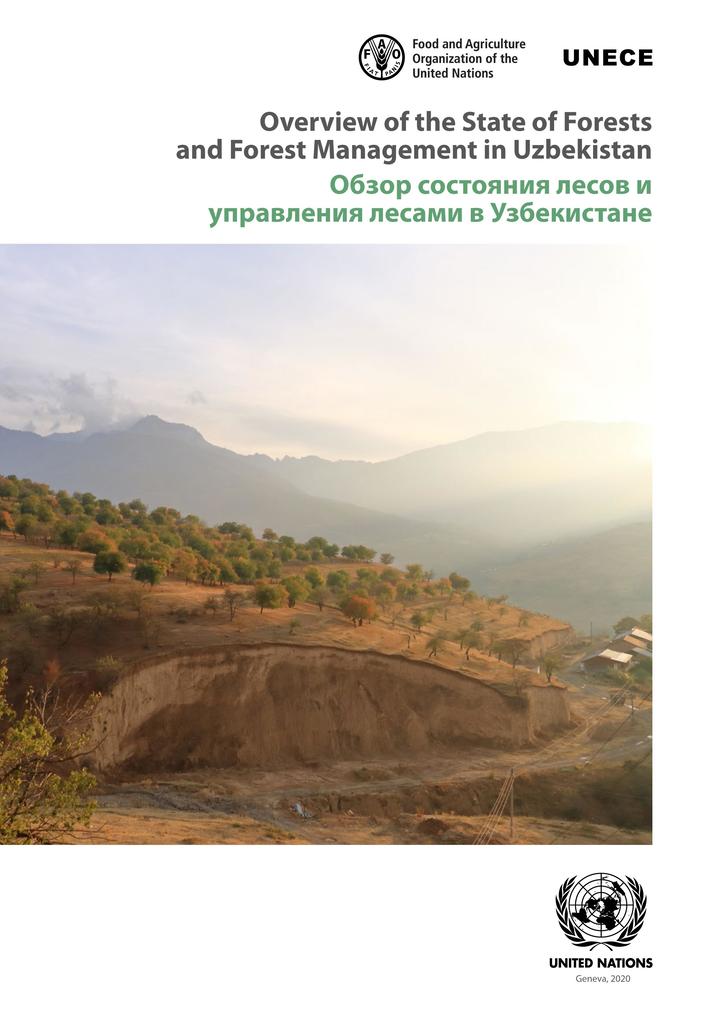 Overview of the State of Forests and Forest Management in Uzbekistan