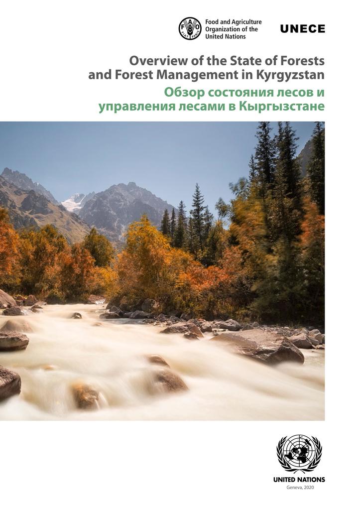 Overview of the State of Forests and Forest Management in Kyrgyzstan