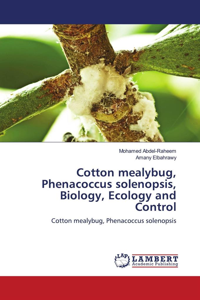 Cotton mealybug Phenacoccus solenopsis Biology Ecology and Control