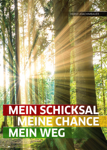 Mein Schicksal meine Chance mein Weg