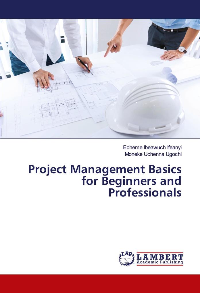 Project Management Basics for Beginners and Professionals