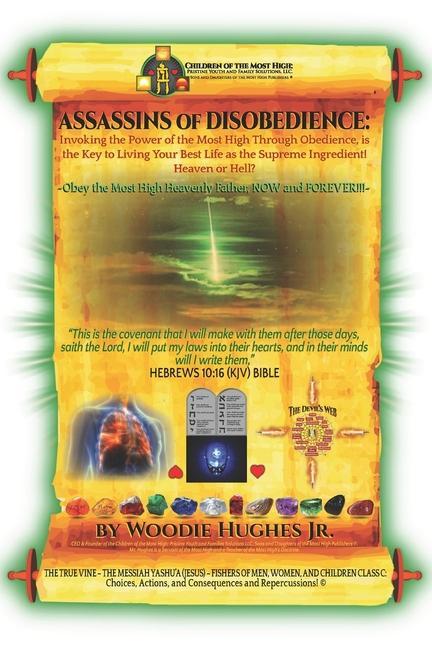 ASSASSINS of DISOBEDIENCE