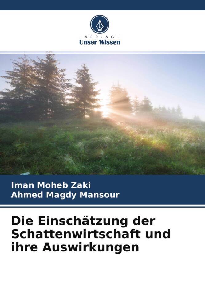 Die Einschätzung der Schattenwirtschaft und ihre Auswirkungen