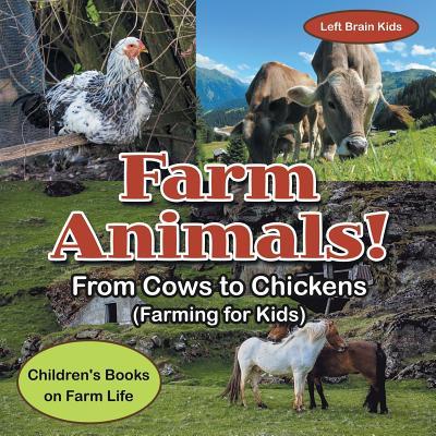 FARM ANIMALS - FROM COWS TO CH