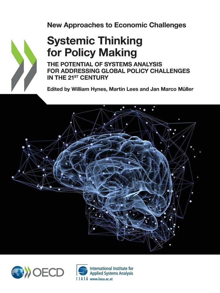 Systemic Thinking for Policy Making