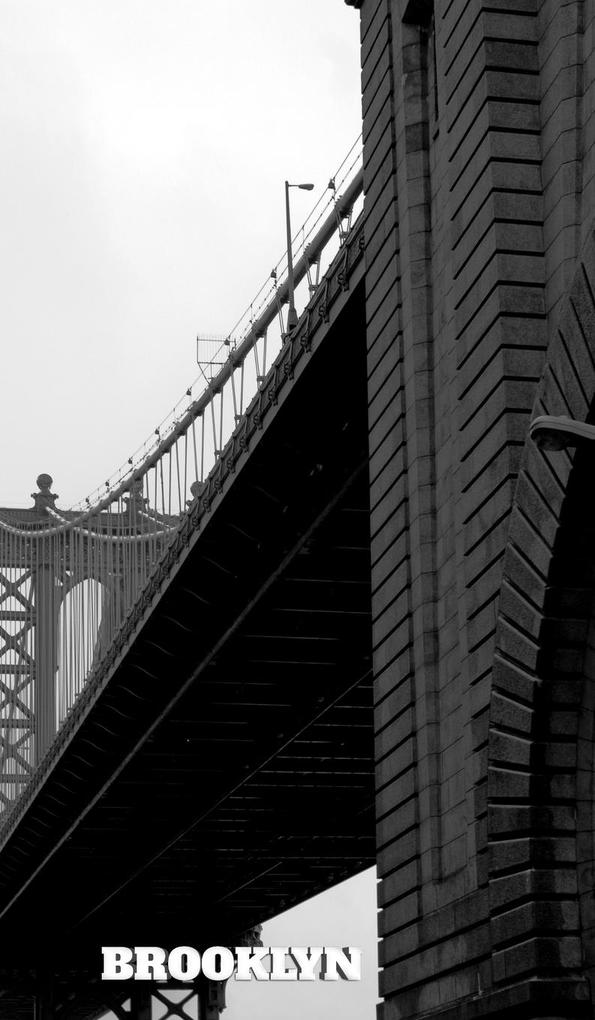 Brooklyn Bridge Reflective creative blank page journal $ir Michael er edition