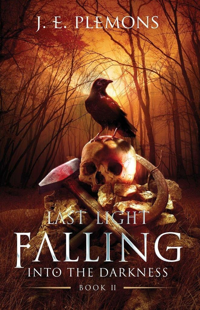 Last Light Falling - Into The Darkness Book II