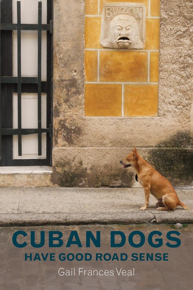 Cuban dogs have good road sense