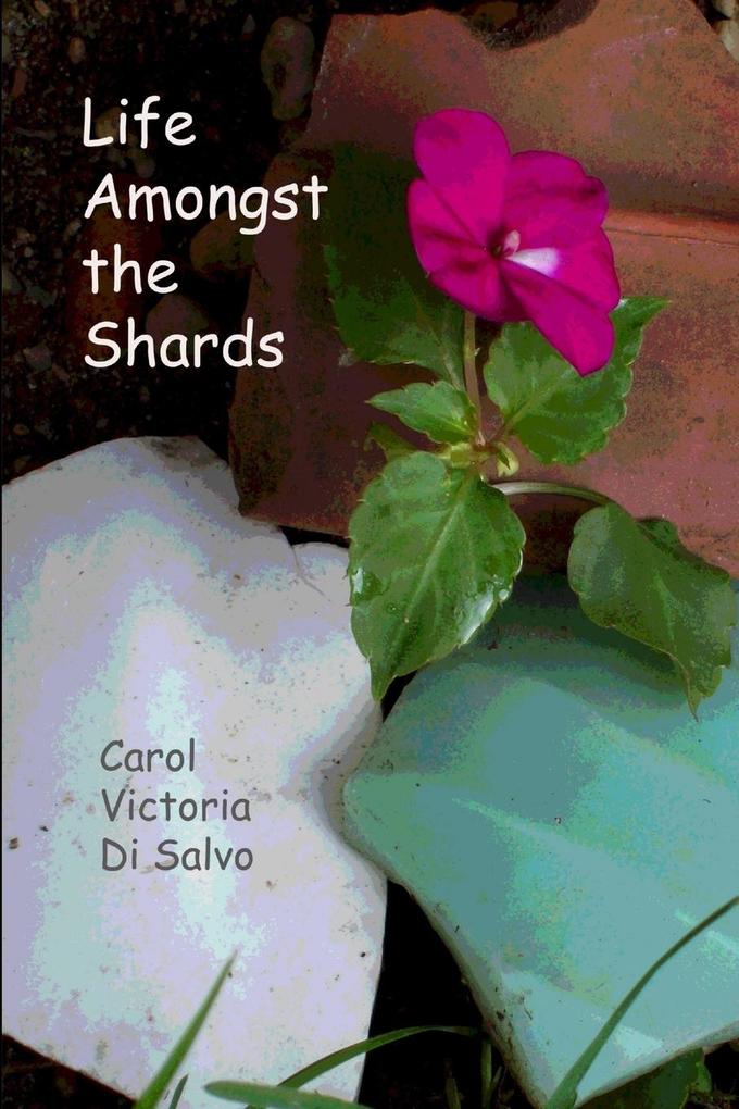 Life Amongst the Shards