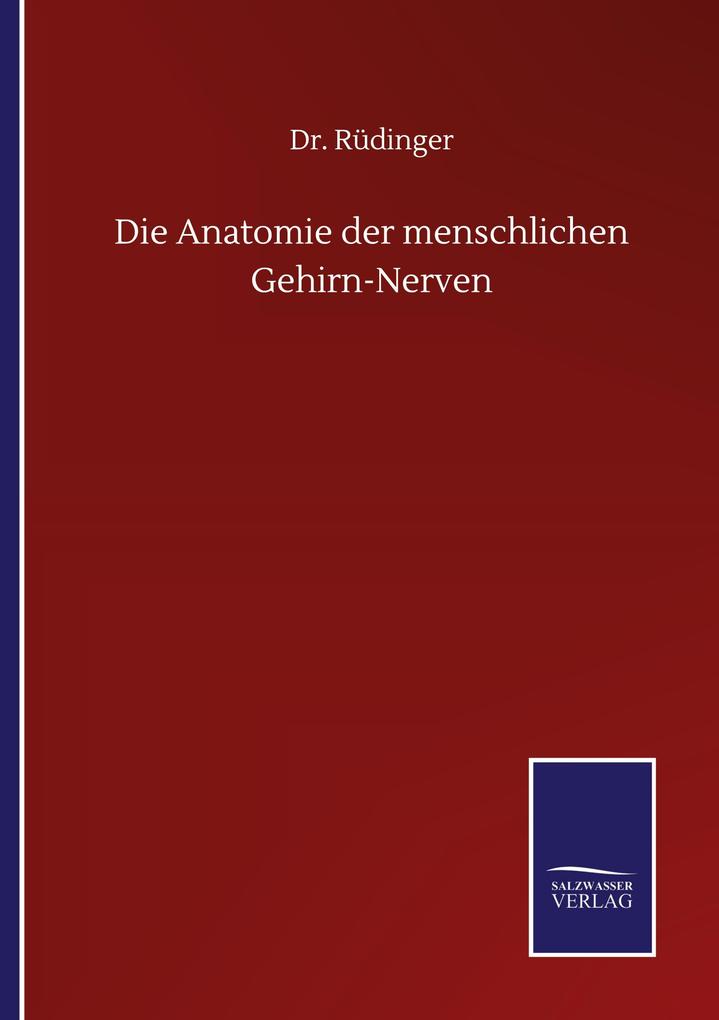 Die Anatomie der menschlichen Gehirn-Nerven