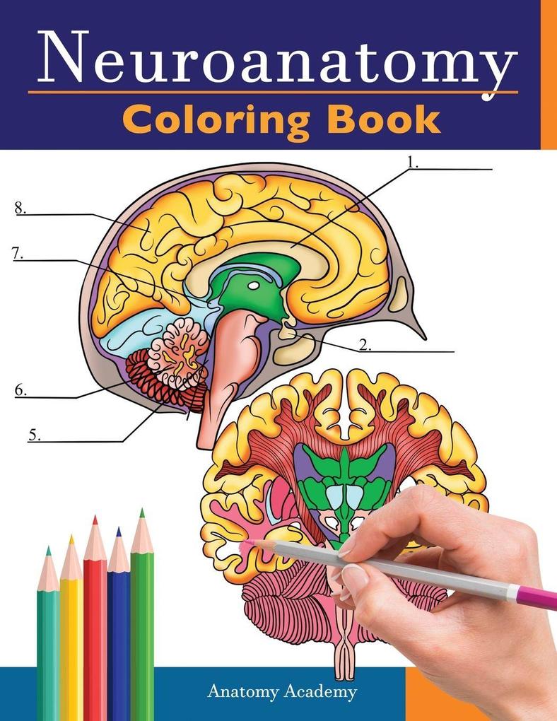 Neuroanatomy Coloring Book