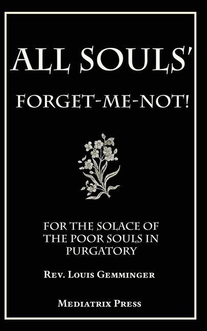 All Souls‘ Forget-me-not