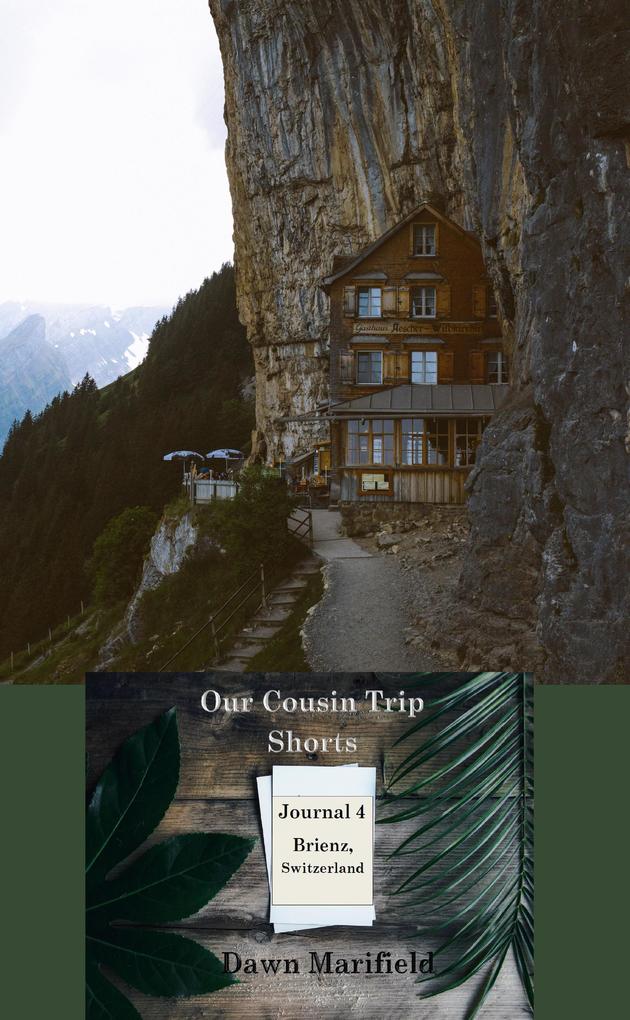 Our Cousin Trip Shorts Journal 4 Brienz Switzerland