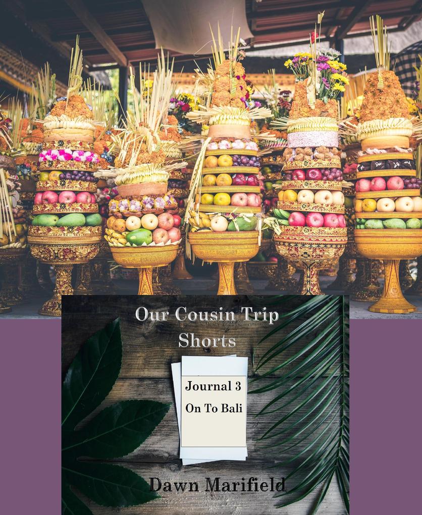 Our Cousin Trip Shorts Journal 3 On to Bali