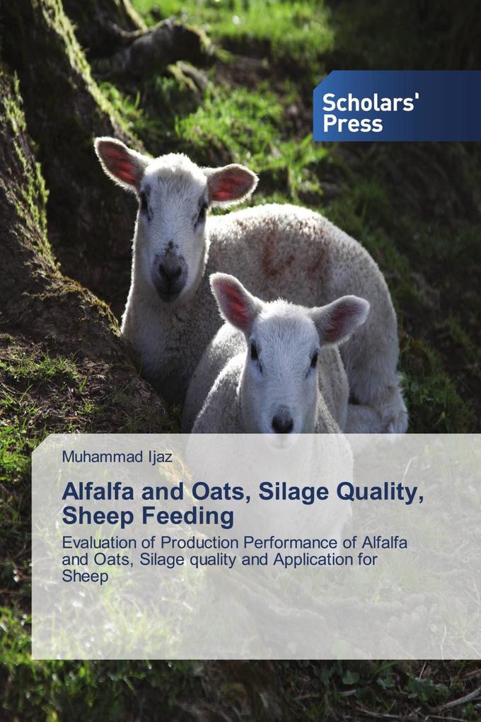 Alfalfa and Oats Silage Quality Sheep Feeding