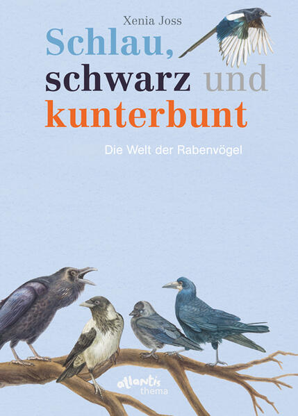 Schlau schwarz und kunterbunt