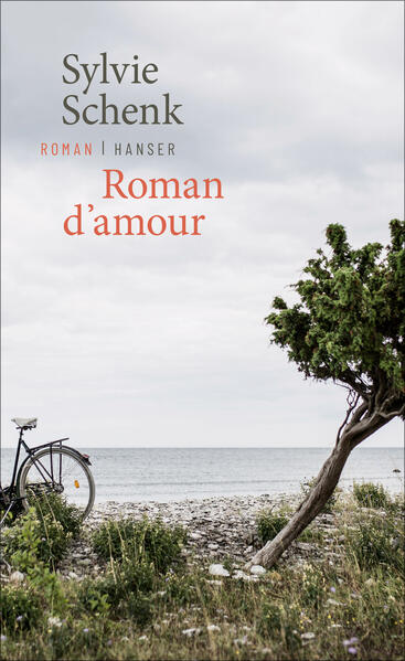 Image of Roman d'amour