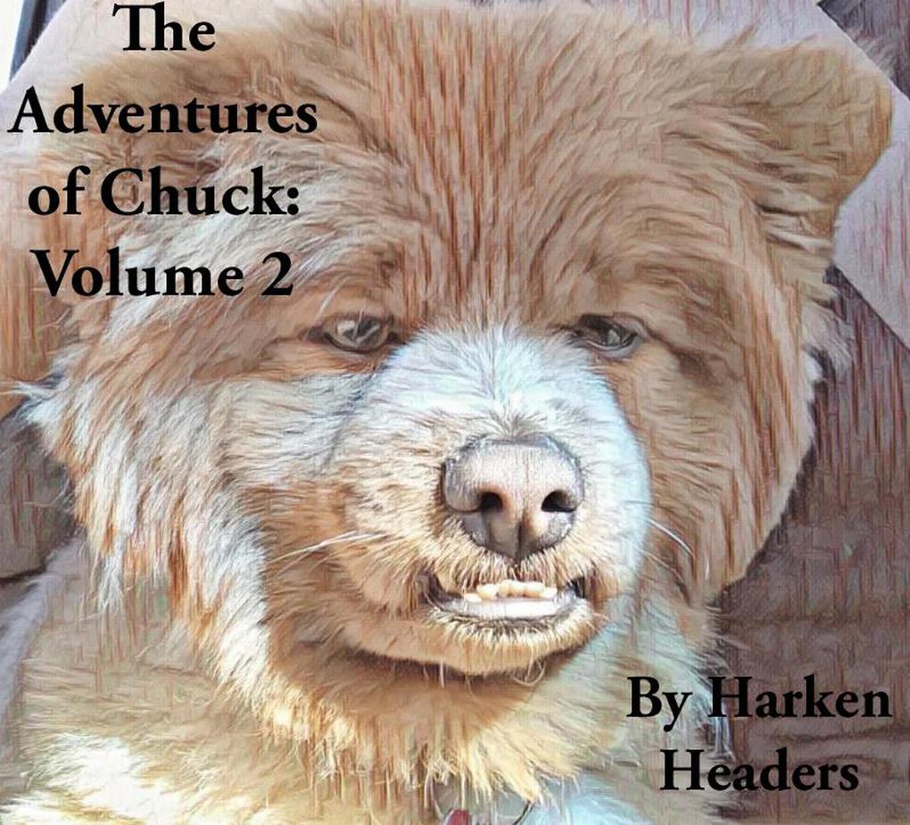 The Adventures of Chuck: Volume 2