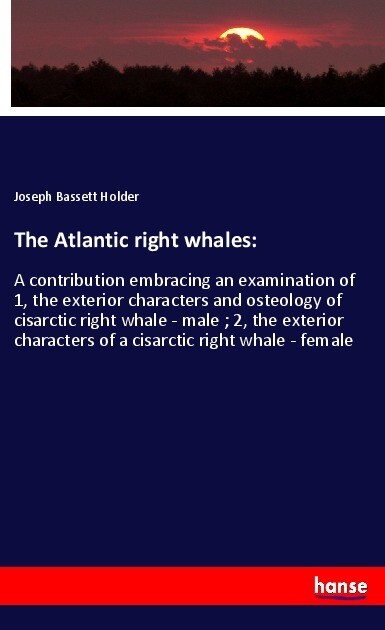 The Atlantic right whales: