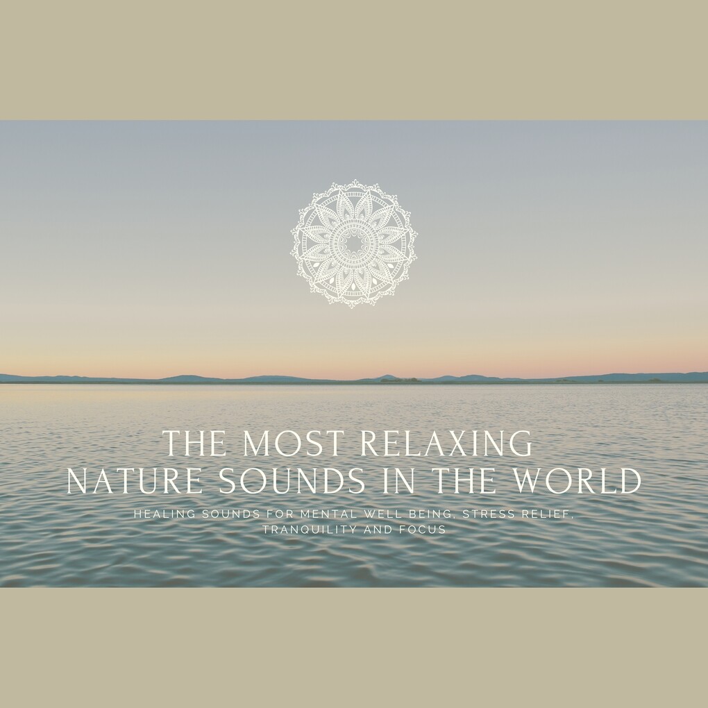 The Most Relaxing Nature Sounds In The World