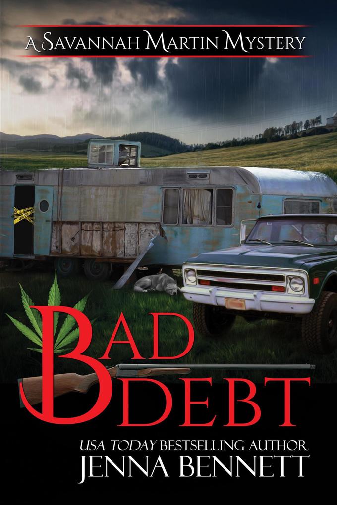 Bad Debt (Savannah Martin Mysteries  #14)