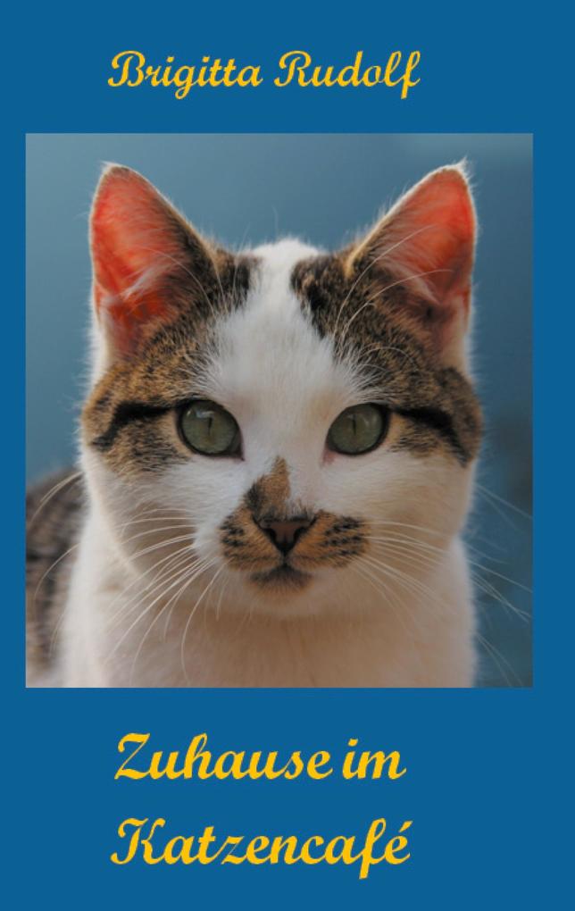 Zuhause im Katzencafé