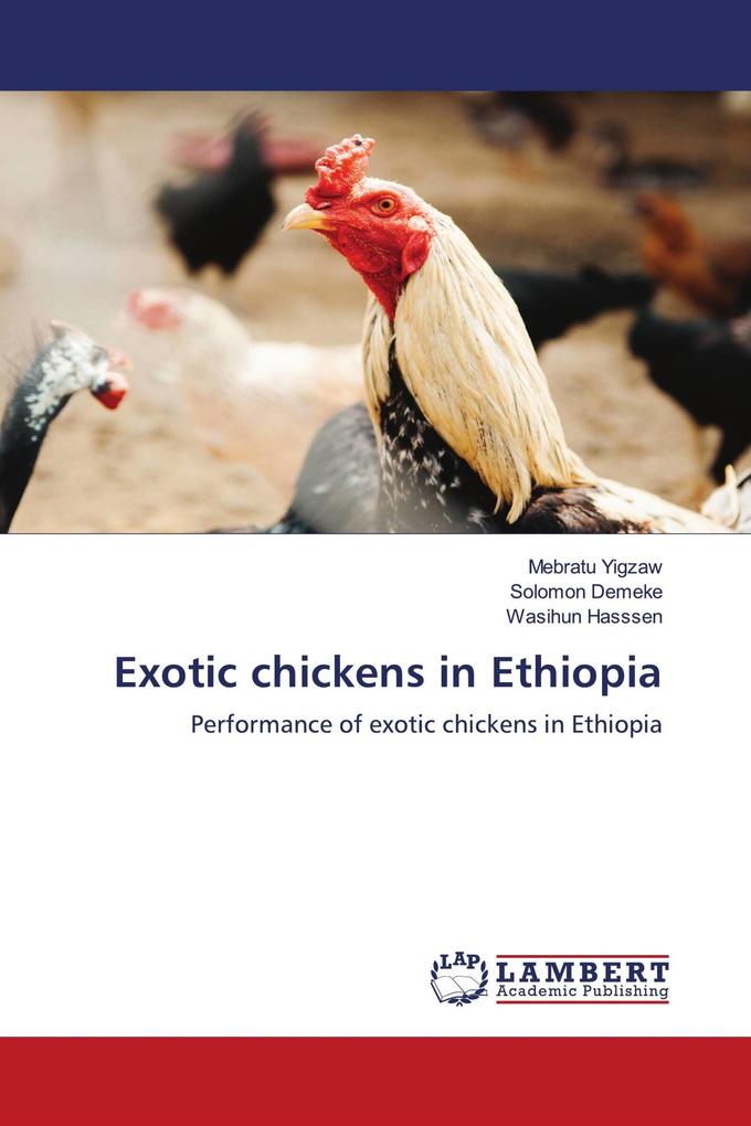 Exotic chickens in Ethiopia