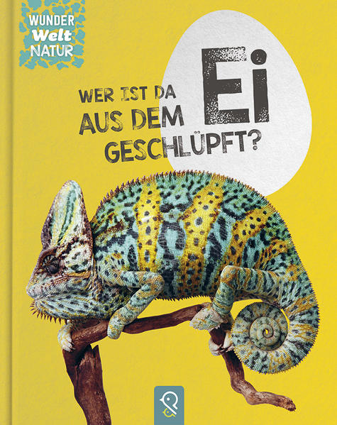 Image of Wer ist da aus dem Ei geschlüpft?