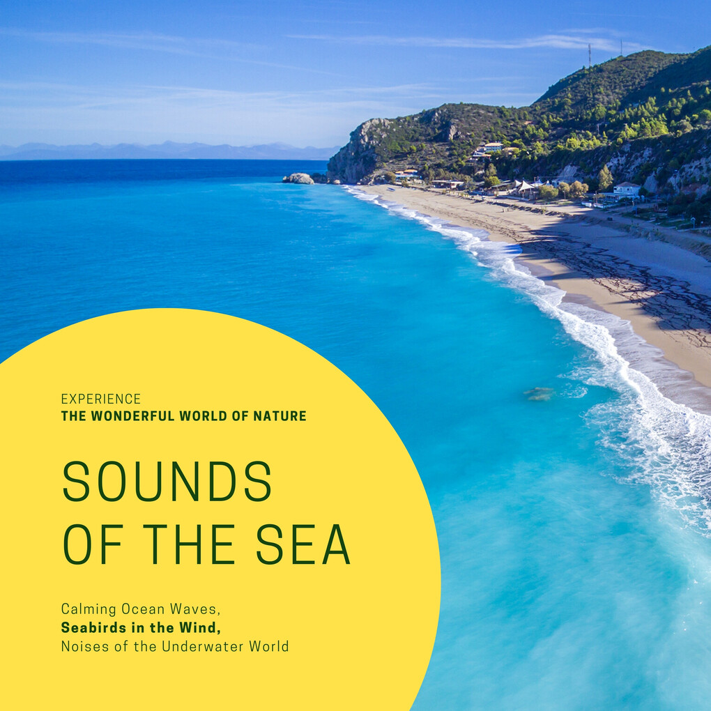 Sounds Of The Sea: Calming Ocean Waves Seabirds in the Wind Noises of the Underwater World