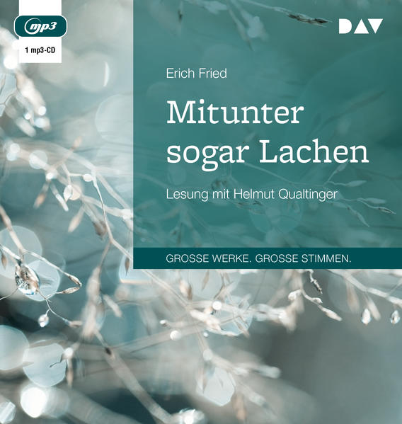 Mitunter sogar Lachen 1 Audio-CD 1 MP3