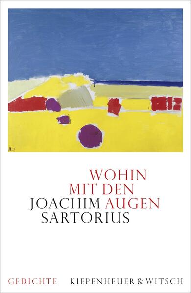 Wohin Mit Den Augen Buch Gebunden Joachim Sartorius