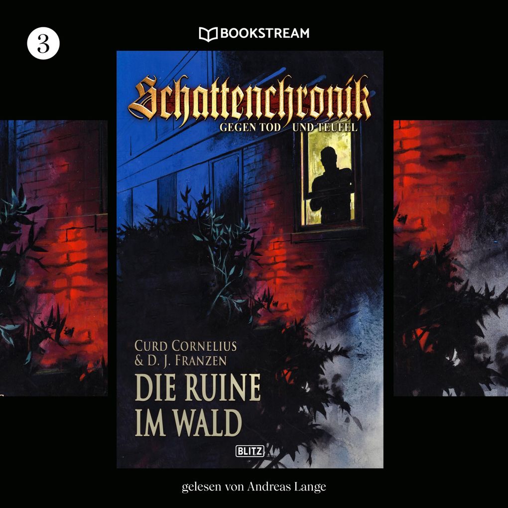 Schattenchronik Folge 3: Die Ruine im Wald