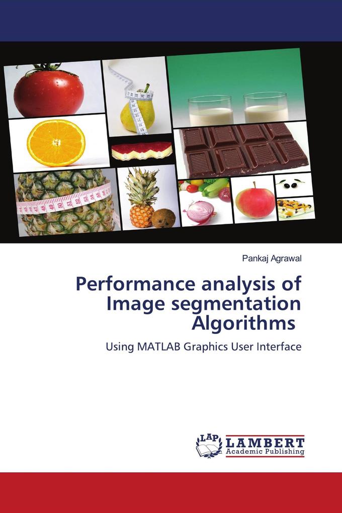 Performance analysis of Image segmentation Algorithms