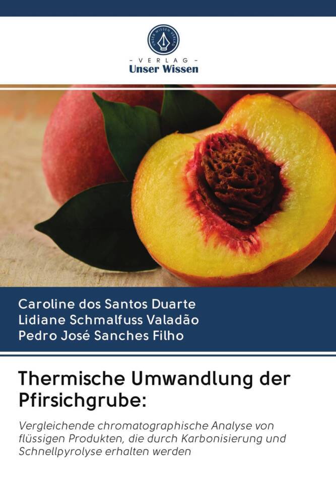 Thermische Umwandlung der Pfirsichgrube: