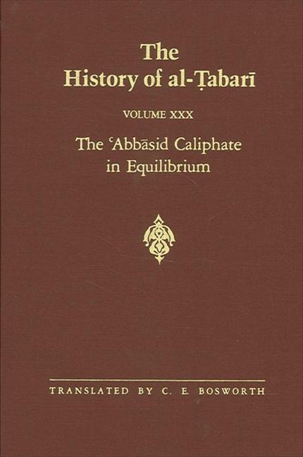 The History of al-abari Vol. 30