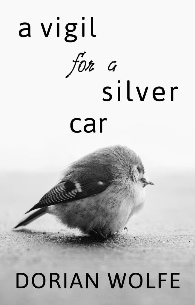 A Vigil for a Silver Car