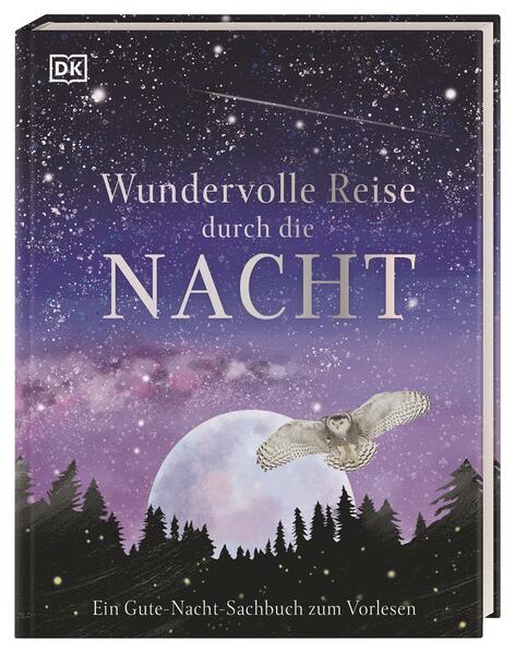 Image of Wundervolle Reise durch die Nacht