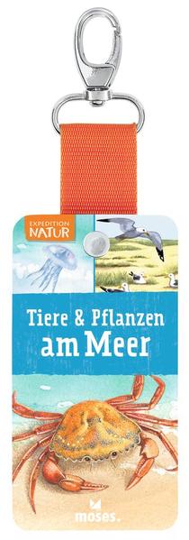 Image of Expedition Natur - Fächer Tiere & Pflanzen am Meer