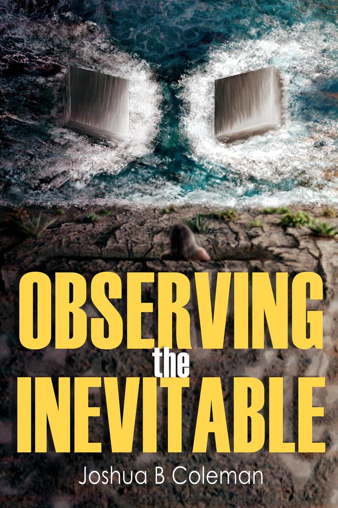 Observing the Inevitable (The Inevitable Series #2)