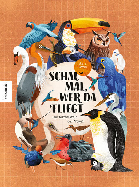 Image of Schau mal wer da fliegt