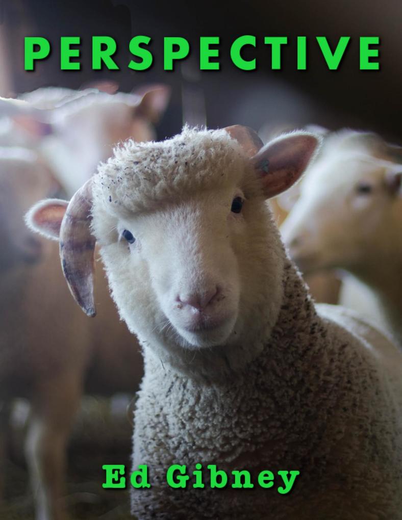 Perspective