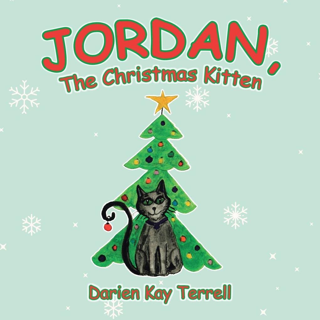 Jordan the Christmas Kitten