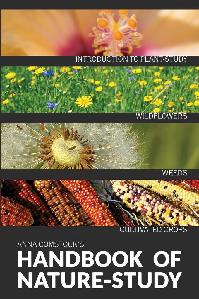 The Handbook Of Nature Study in Color - Wildflowers Weeds & Cultivated Crops