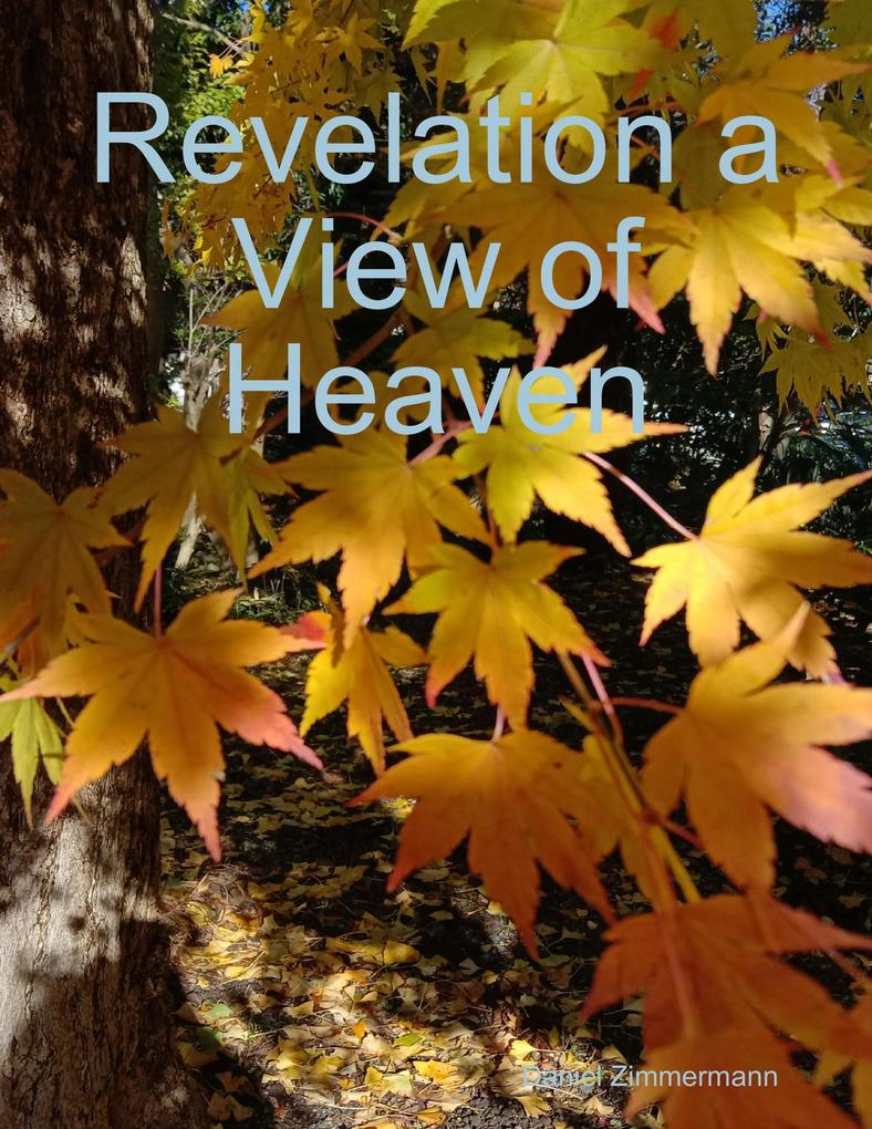 Revelation a View of Heaven