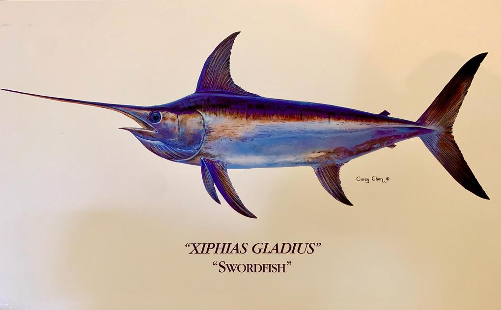 Xiphias gladius - The Fish of My Lifetime... a short story by Michael Fowlkes